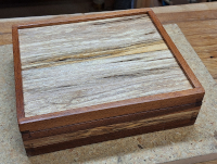 Shelfish Box